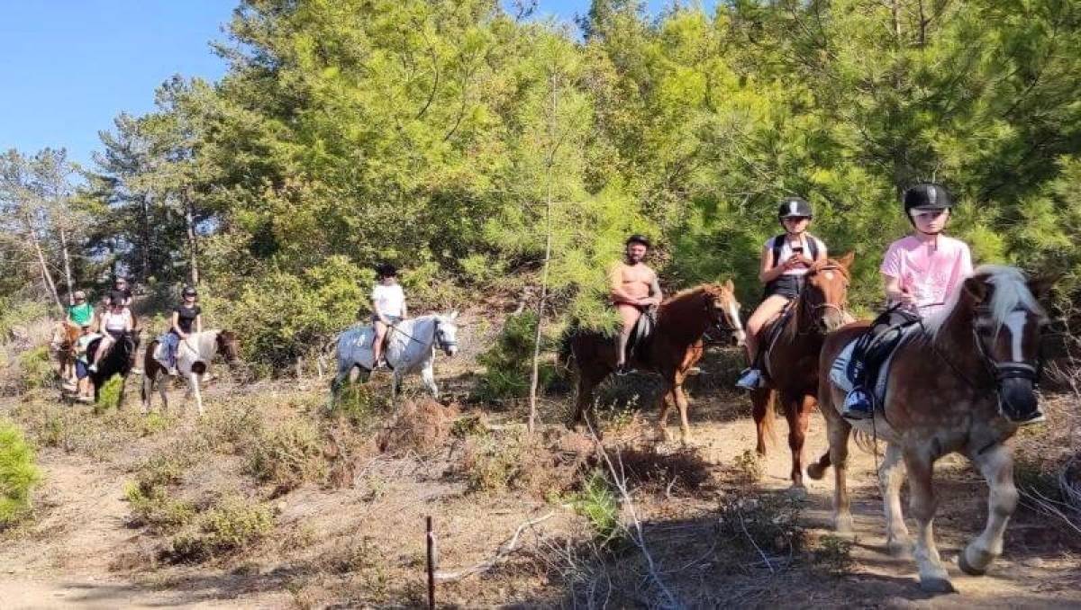 SYDRA AT TURU | ALANYA DAĞ & ORMAN SAFARİSİ | 2,5 SAATLİK UNUTULMAZ DENEYİM