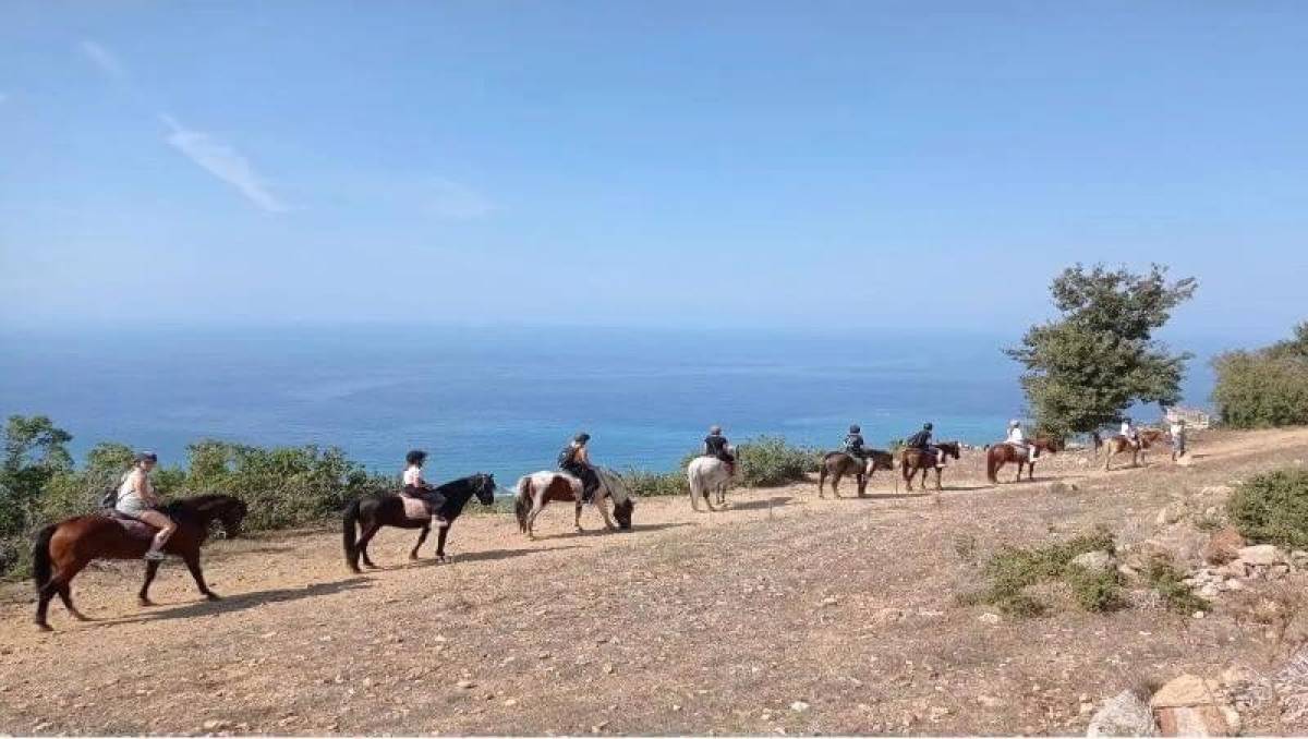 SYDRA AT TURU | ALANYA DAĞ & ORMAN SAFARİSİ | 2,5 SAATLİK UNUTULMAZ DENEYİM
