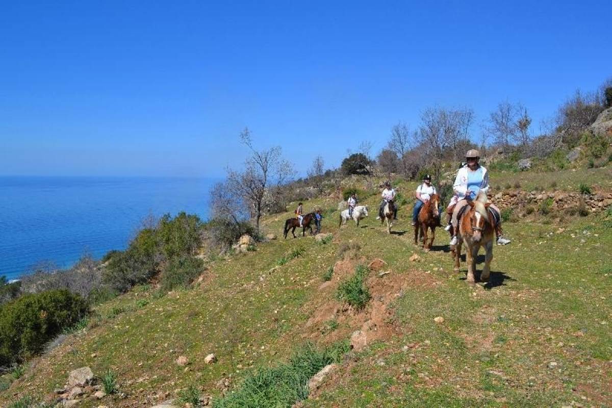SYDRA AT TURU | ALANYA DAĞ & ORMAN SAFARİSİ | 2,5 SAATLİK UNUTULMAZ DENEYİM